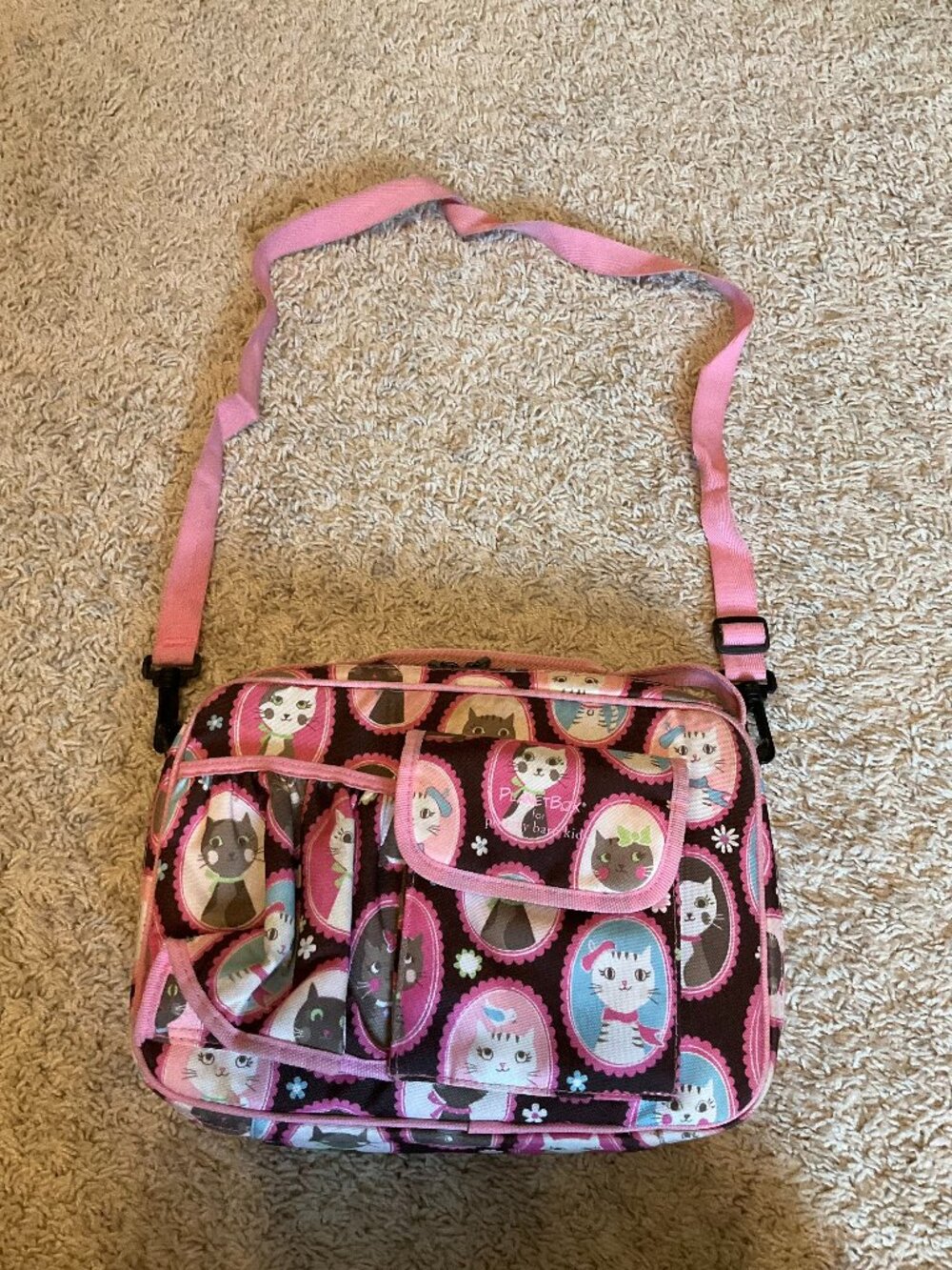 PlanetBox Rover Stainless Steel Reusable Lunch Box with 4 cats magnets